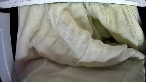 Kentaro online show from April 25, 4:48 am