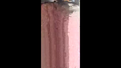 wetwalls223 online show from February 17, 3:05 am