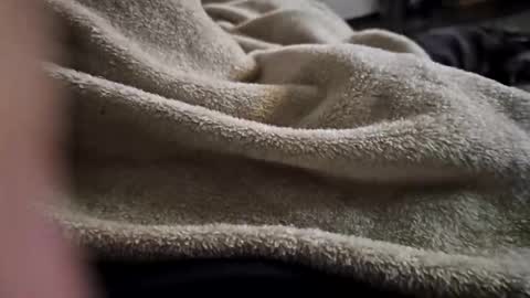 what_whaaat online show from November 3, 7:56 am