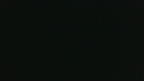 whitehead_lion online show from November 14, 6:20 pm