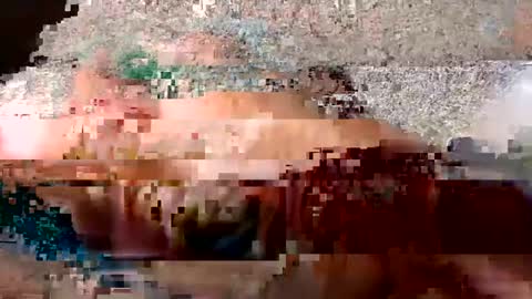 Snapshot of whitelava_4u chatting on October 1, 10:08 am whitelava_4u online show from October 1, 10:08 am