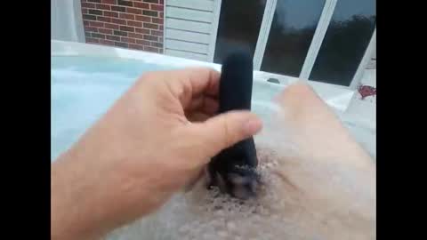 whiteoak19522 online show from April 18, 10:49 am