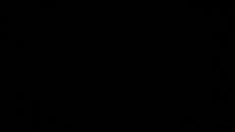 wholesomebull00 online show from July 2, 3:45 am