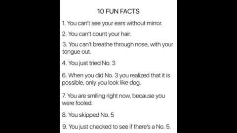 whorenee kawk online show from November 1, 1:04 pm