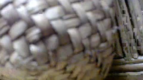 Snapshot of wife_phucker69 chatting on September 25, 11:53 am Ryder Harder online show from September 25, 11:53 am