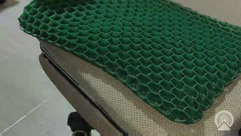 31 shots with Wilburn online show from February 12, 12:22 pm