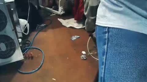 wildman6 online show from April 24, 7:49 pm