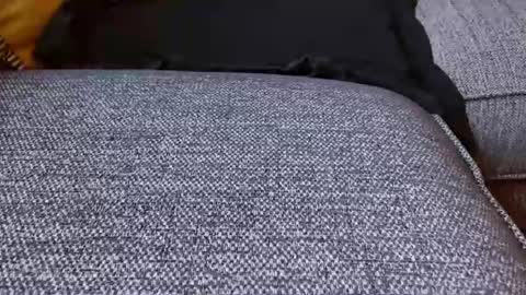 wildwills online show from June 29, 6:41 pm