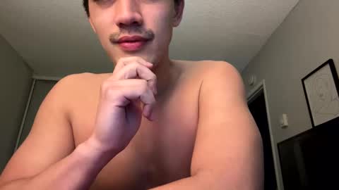 willd4 online show from December 25, 12:37 pm