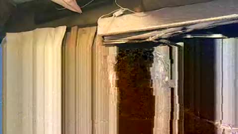 willielowrider online show from March 29, 1:44 pm