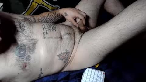 wilmer_cockfit online show from February 11, 2:00 pm