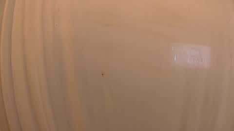 Snapshot of withbothhandsplease chatting on October 19, 3:26 pm Mater online show from October 19, 3:26 pm