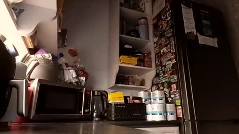 wojtas29292 online show from February 23, 4:03 am