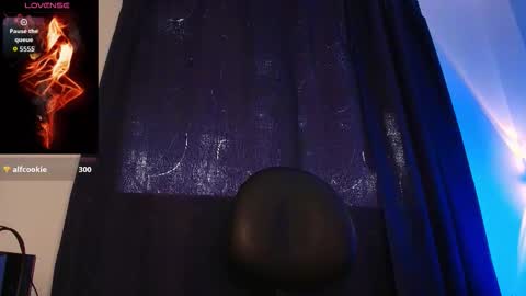  W O L F  online show from October 17, 1:59 pm