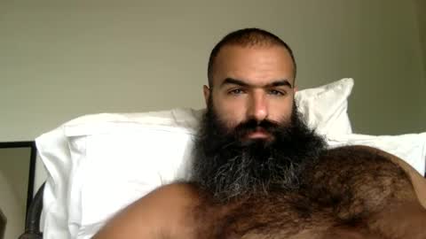 Snapshot of woof_wolf37 chatting on September 27, 4:05 pm woof_wolf37 online show from September 27, 4:05 pm