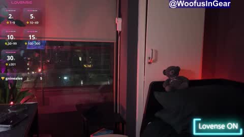 WoofusInGear online show from February 15, 10:22 pm