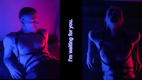 xavier_night81 online show from November 26, 9:01 am