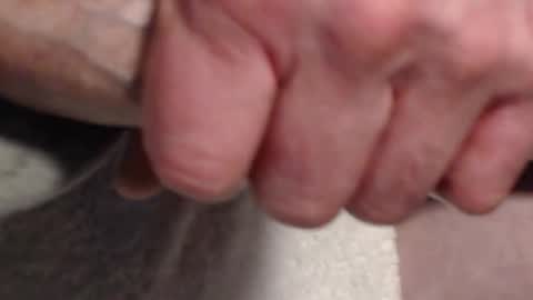 xloadzzz online show from January 11, 2:04 am