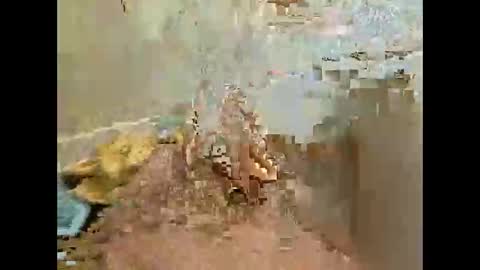 Jj880 online show from November 27, 4:54 pm