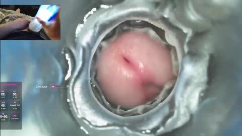 Snapshot of xoxowtf chatting on December 7, 4:53 am xoxowtf online show from December 7, 4:53 am