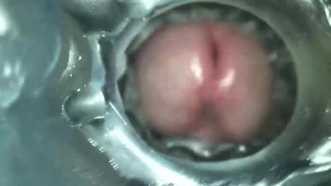 Snapshot of xoxowtf chatting on February 12, 3:27 pm xoxowtf online show from February 12, 3:27 pm