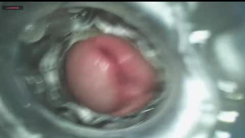 Snapshot of xoxowtf chatting on December 11, 4:19 am xoxowtf online show from December 11, 4:19 am