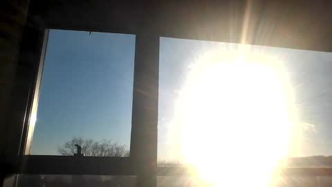 xxdude91 online show from January 27, 9:11 pm