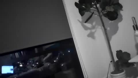 xxdude91 online show from December 18, 1:59 am