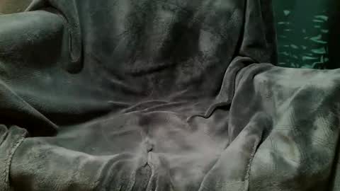 yecatseloc online show from February 6, 12:24 pm