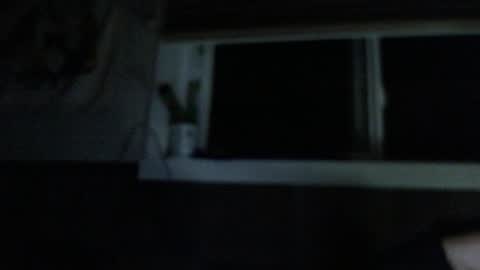 .     y e l l o w s n a k e s       . online show from March 11, 5:03 am