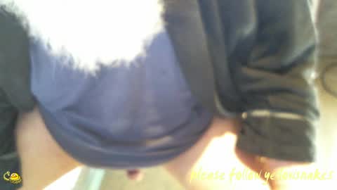 .     y e l l o w s n a k e s       . online show from April 26, 7:10 pm