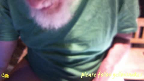 .     y e l l o w s n a k e s       . online show from April 3, 10:56 am