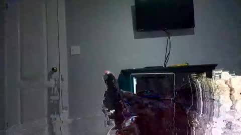 yorks1er online show from October 30, 9:54 am