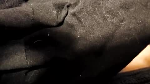 youwanttolickme online show from February 8, 9:04 am