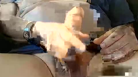 Yuppers98 online show from October 19, 2:31 pm