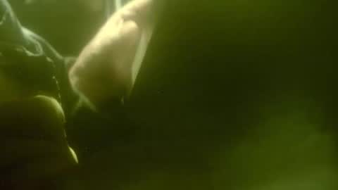 zaboski4 online show from January 19, 10:39 am