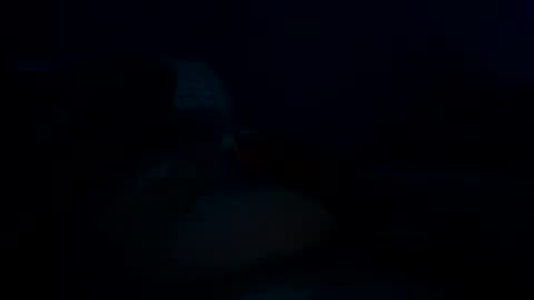 Zachy online show from December 18, 7:04 am