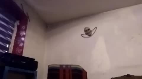 Slash online show from February 16, 11:30 am