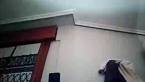 zigor13 online show from March 25, 6:23 pm