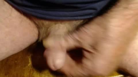 ZZ online show from October 4, 11:59 am