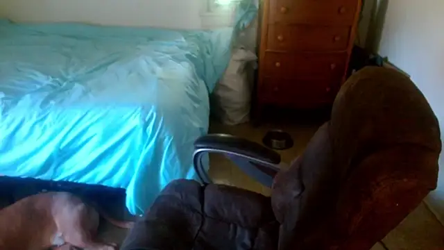 DADDY KANE8--- online show from April 23, 4:20 pm