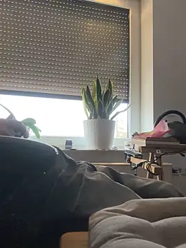 schwanzgranate online show from February 9, 9:25 am