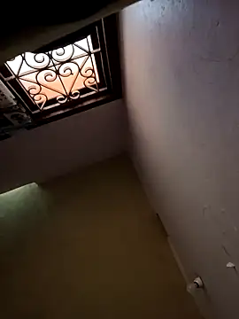 Mallu-Gayathri Arun online show from December 12, 5:10 am