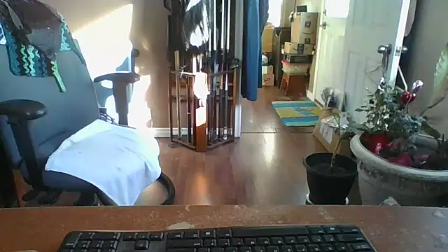 Snapshot of Daremeknot chatting on March 10, 1:54 pm Daremeknot online show from March 10, 1:54 pm