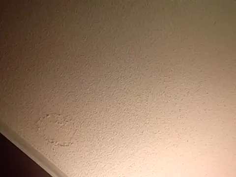 Treemandude online show from November 10, 11:42 pm