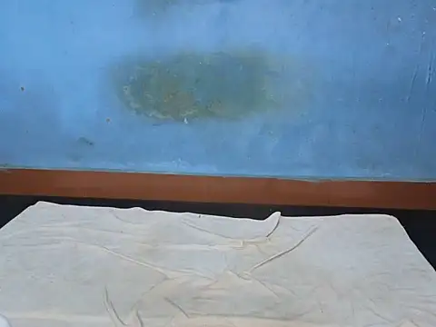 kannamu99 online show from April 24, 5:59 pm