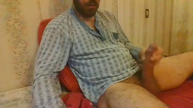 tozebrito hd online show from October 29, 7:55 am