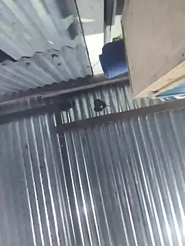 Ho66 online show from November 27, 5:11 am