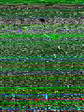 papillon013 online show from April 12, 1:56 pm