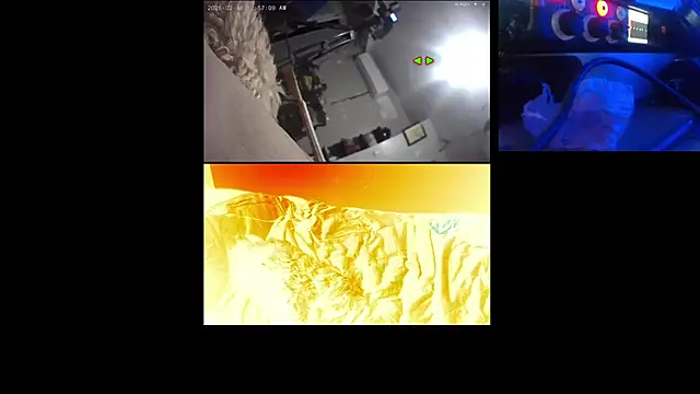 AlanDickson online show from February 16, 8:12 am